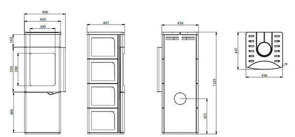 Stufa A Legna ad aria 8kw con porta verticale automatica in acciaio Antracite Palazzetti Eva S