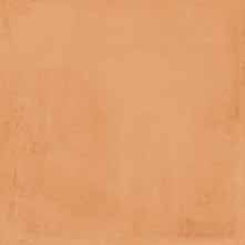 Pavimento rivestimento 20x20 Cotto Mat Ceramica Sant Agostino Vita CSACTT2020