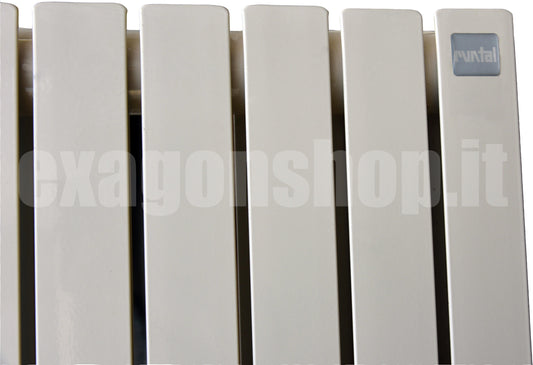 Runtal AX Radiatore 220x110 acqua 25 elementi Champagne, vista laterale che mostra profilo e dimensioni