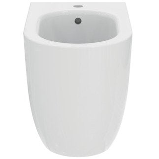 Ideal standard blend curve t375301 bidet a terra filo parete con fissaggi nascosti in ceramica bianco