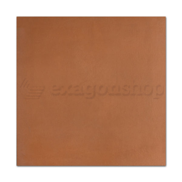 Pavimento Rivestimento 60x60 R11 Seconda Scelta Cotto Brach BRCCO60 Ceramica Sant Agostino