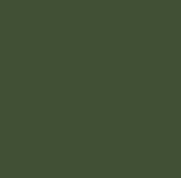 Mobile bagno Verde oliva 100x46 Vienna con lavabo ad incasso e due cassetti rifiniti con maniglie cromo