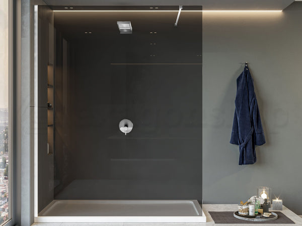Walk in parete doccia 100 cm Genio 8 mm fume H 200 profili cromo