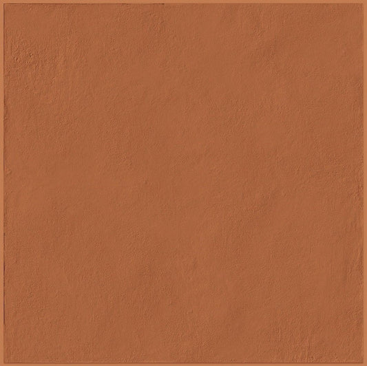 Mutina Tierras Frame Piastrella Cm 20x30 Rettificato In Gres Porcellanato Rust