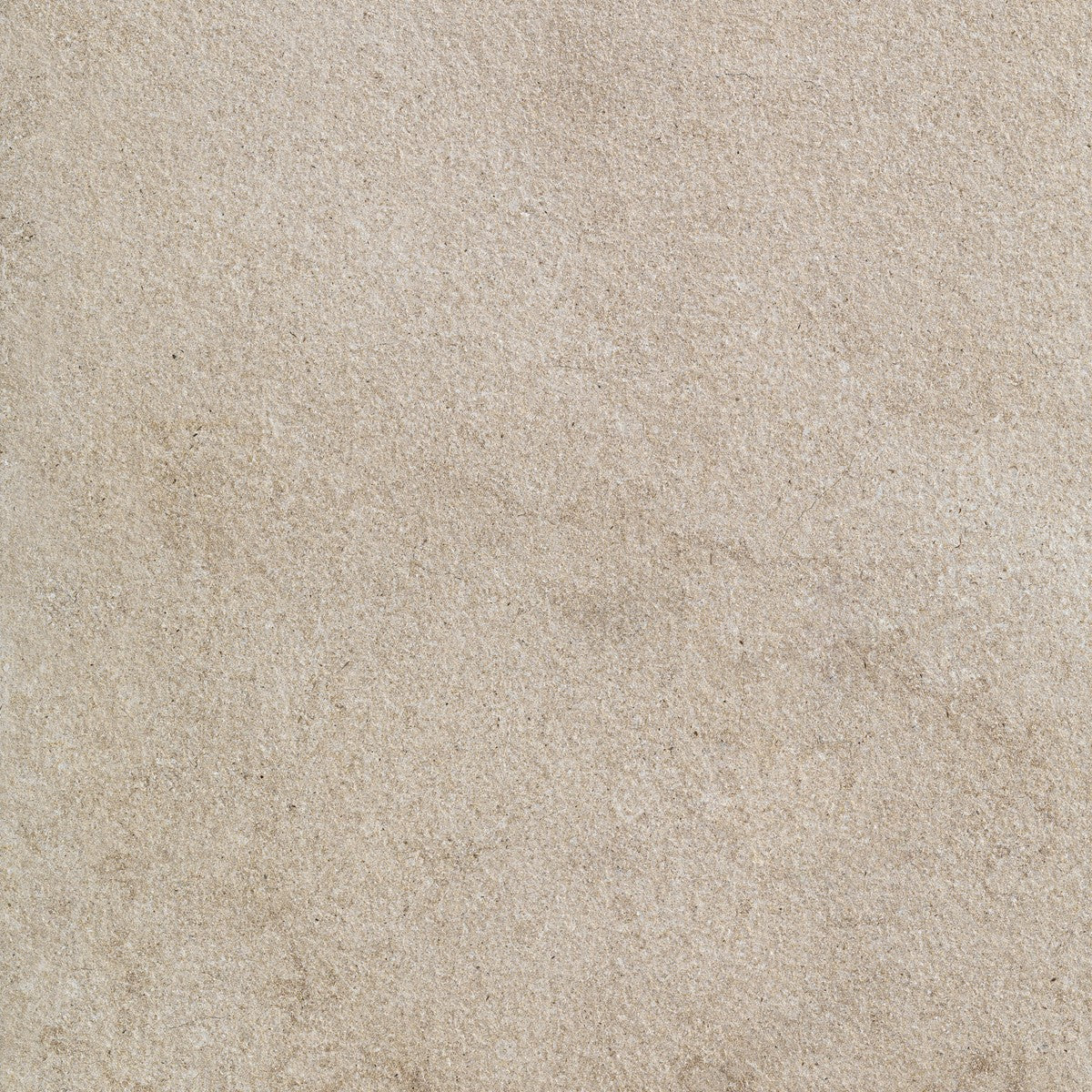Pavimento rivestimento 60x60 effetto pietra in gres in gres porcellanato e noce, superficie e texture ravvicinata del gres