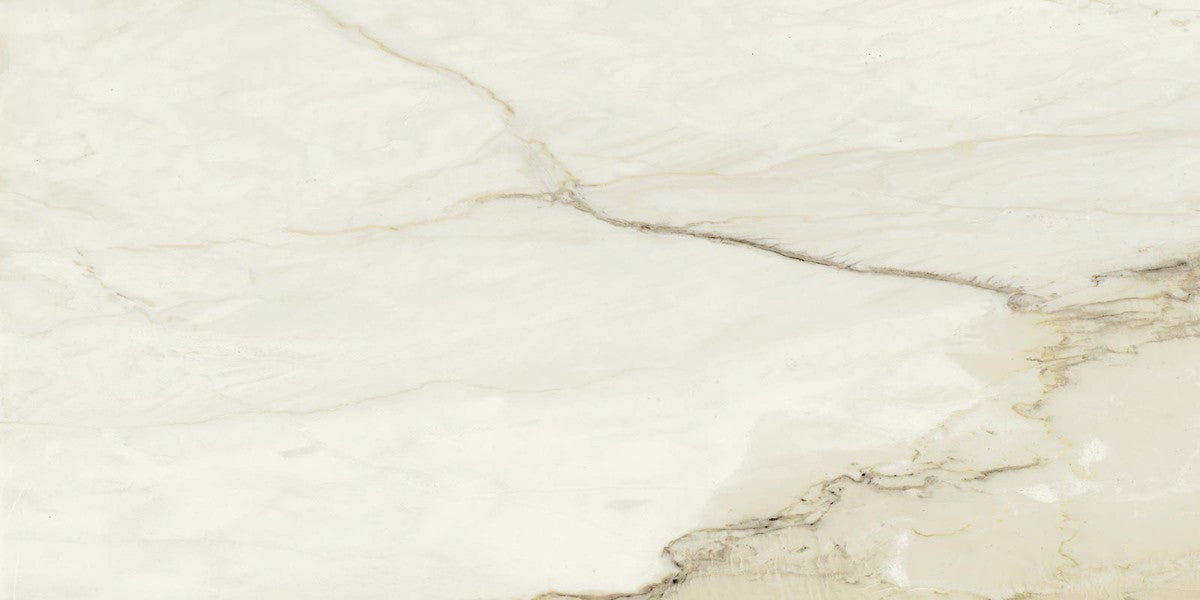 Pavimento Rivestimento 30x60 effetto marmo spessore 9,5 mm in rettificato, superficie e texture ravvicinata del gres
