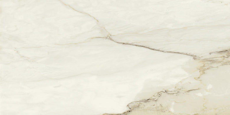 Pavimento Rivestimento 30x60 effetto marmo spessore 9,5 mm in rettificato, superficie e texture ravvicinata del gres