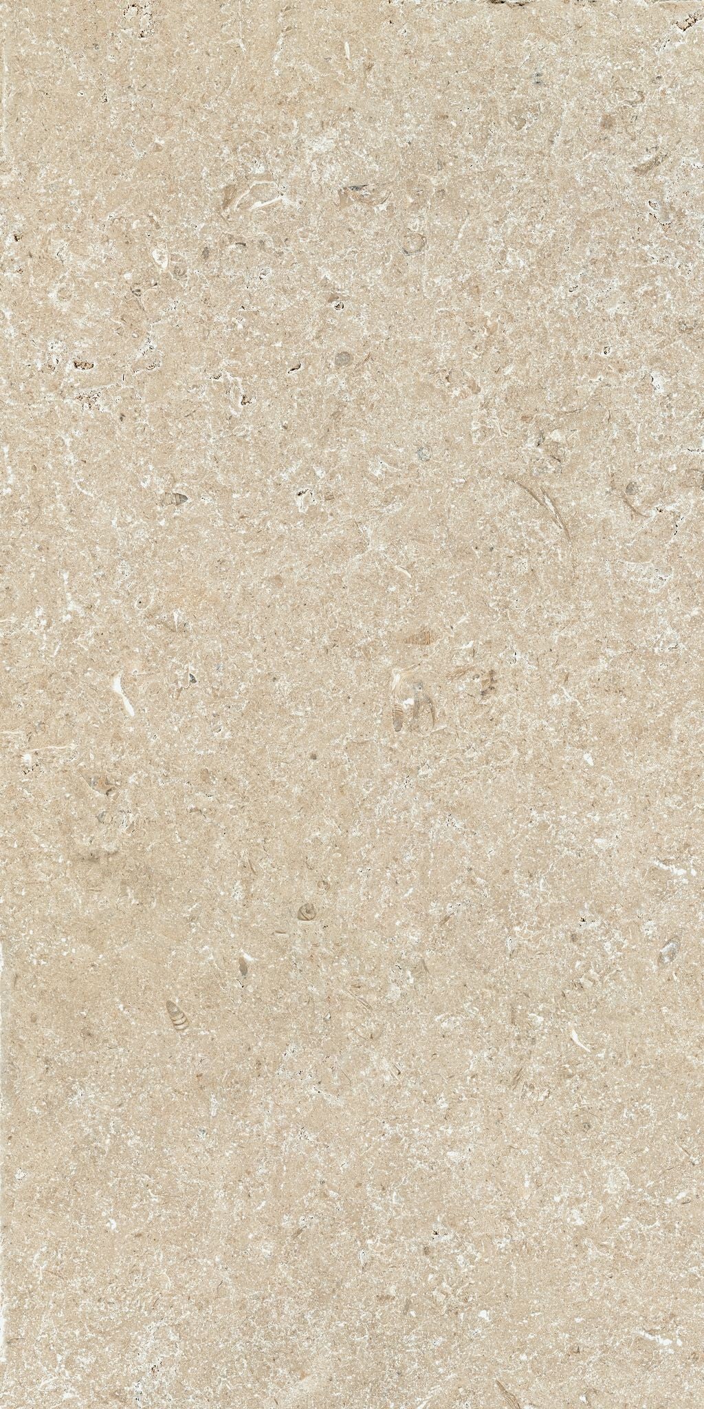 Cotto D'Este Secret Stone 20mm Pavimento Rivestimento in rettificato, superficie e texture ravvicinata del gres - Cotto D...