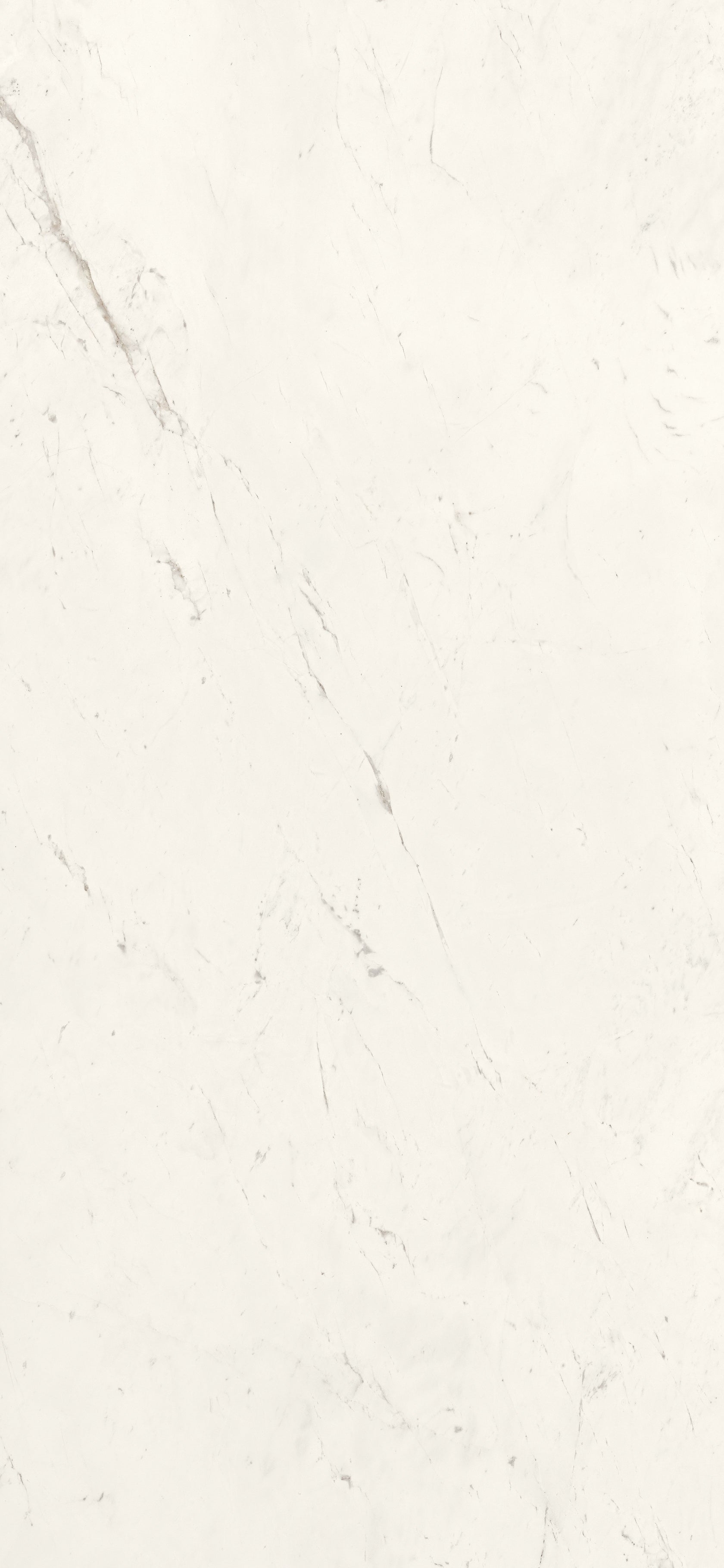 Pavimento Rivestimento 260x120 spessore 6,5 Mm In in porcellana, superficie e texture ravvicinata del gres - Cotto D Este...