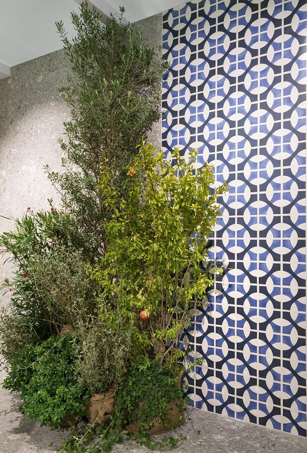 Ceramica Sant Agostino Vita Sole 03 Lucido Decoro 20x20 Cm, superficie e texture ravvicinata del gres