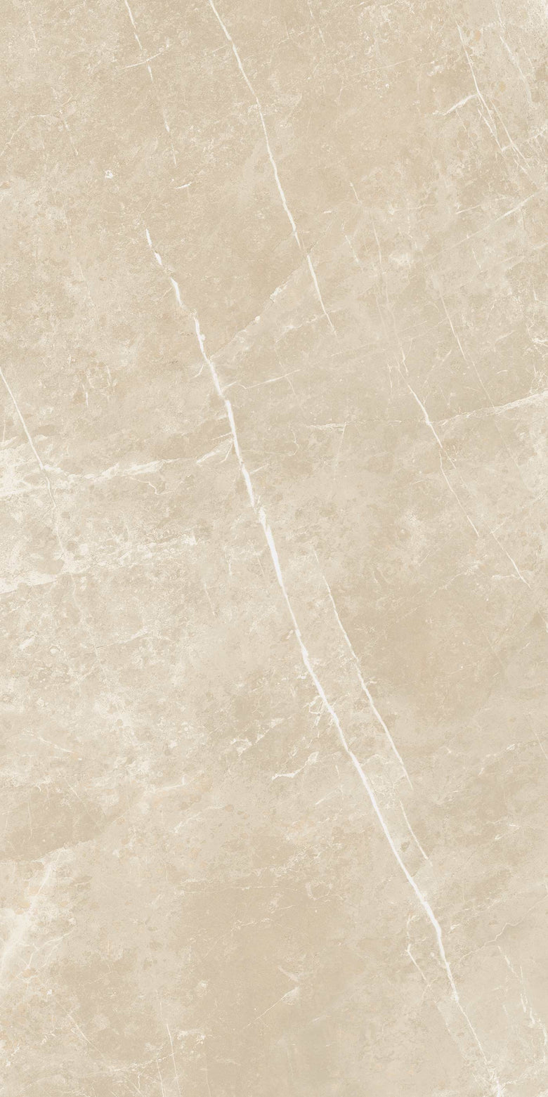 Cerim Elemental Stone Pavimento Rivestimento 60x120 Cm 10mm posata in ambiente arredato, dettaglio della venatura