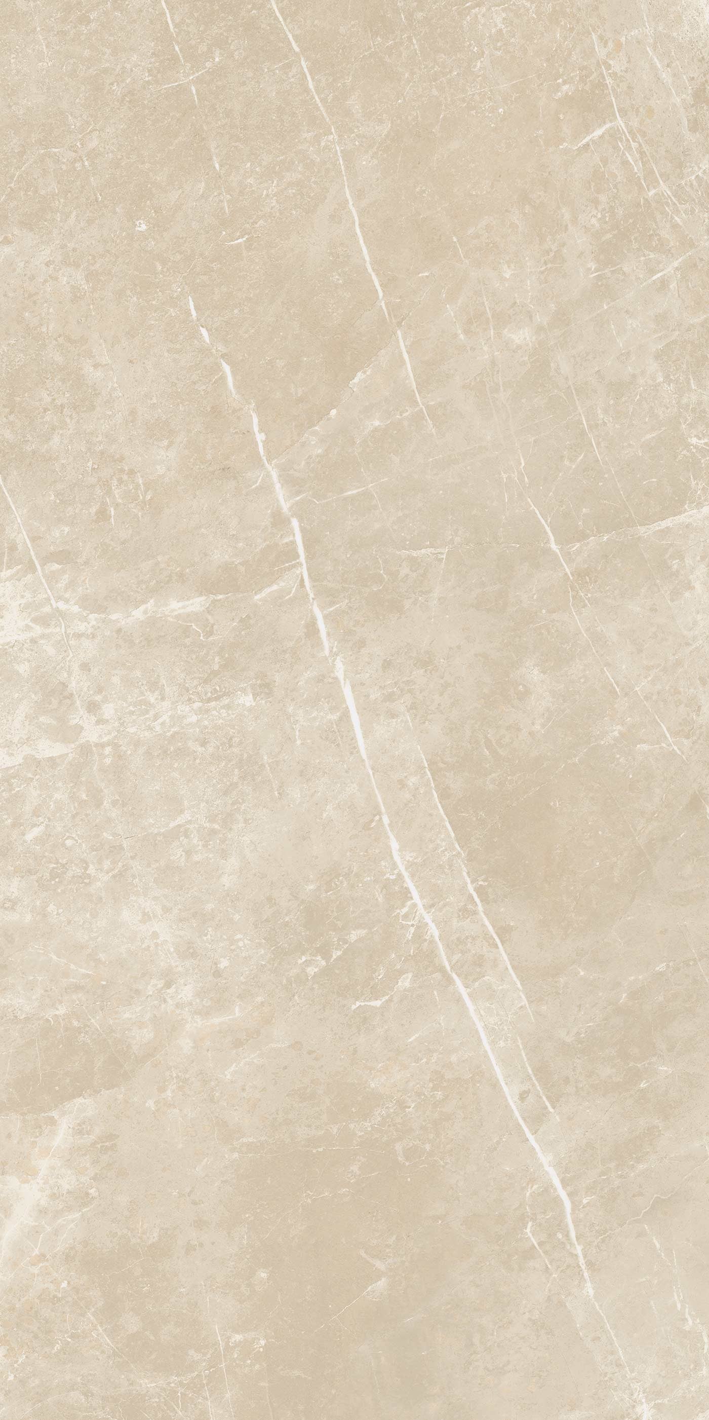 Cerim Elemental Stone Pavimento Rivestimento 60x60 Cm 10mm posata in ambiente arredato, dettaglio della venatura