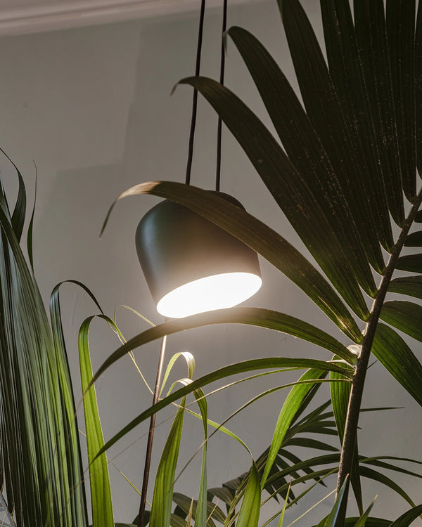 Flos Aim Lampada a sospensione Nero cavo 9 metri F0090030