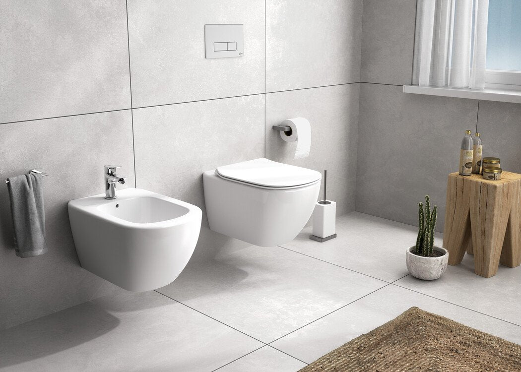 Ideal Standard Coppia sanitari sospesi vaso rimless e bidet visto dall'alto con scarico e interno visibili