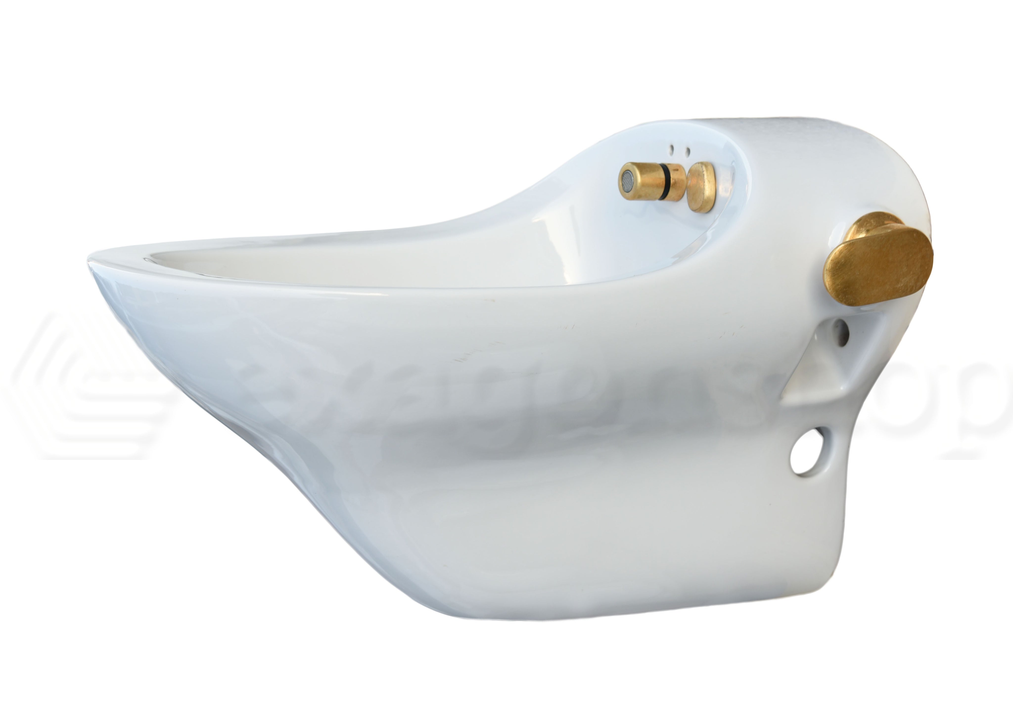 Ideal Standard Belvedere Absolute Bidet Sospeso completo di ambientato su piano bagno con accessori