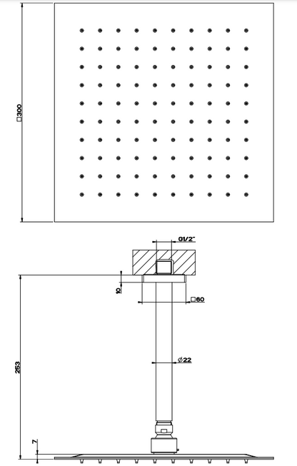 Soffione doccia 30x30 quadro Orientabile Anticalcare a Soffitto Mirror Steel Shower 47262 Gessi Emporio