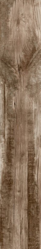 Pavimento e rivestimento 20x120 effetto parquet in gres in gres porcellanato e naturale, superficie e texture ravvicinata...