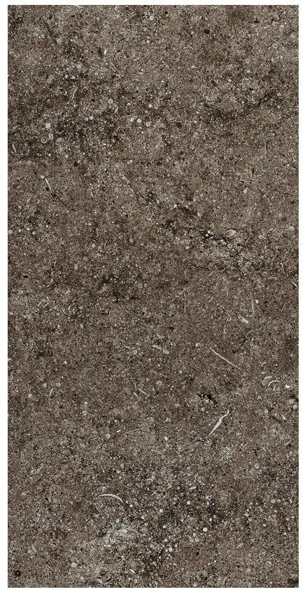 Pavimento rivestimento 40x80 in gres porcellanato 10 mm R9 matte fossil brown Casa dolce casa Sensi