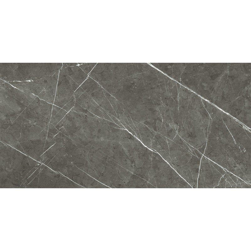 Pavimento rivestimento 60x120 effetto marmo rettificato 9 Grigio in gres porcellanato, superficie e texture ravvicinata...