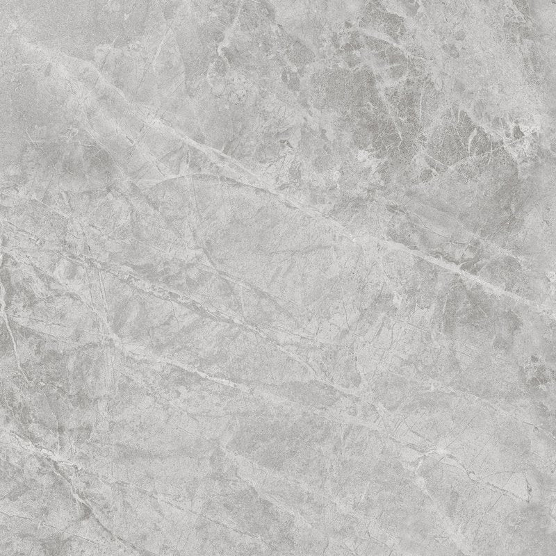 Pavimento Rivestimento 60x60 Cm Effetto Marmo Grigio Savoia in ceramica e marmo naturale, superficie e texture...