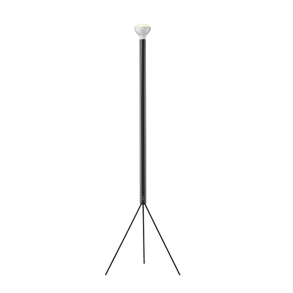 Flos Luminator F3772033 Lampada da pavimento a luce indiretta antracite